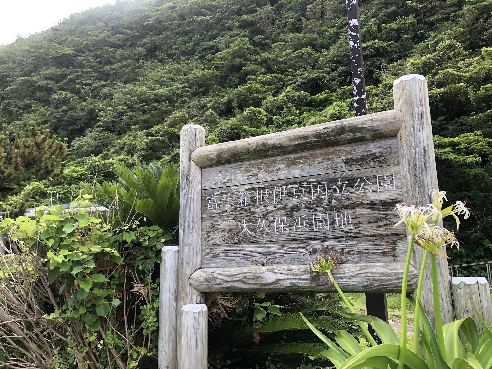 Khu cắm trại Ookubo Hama