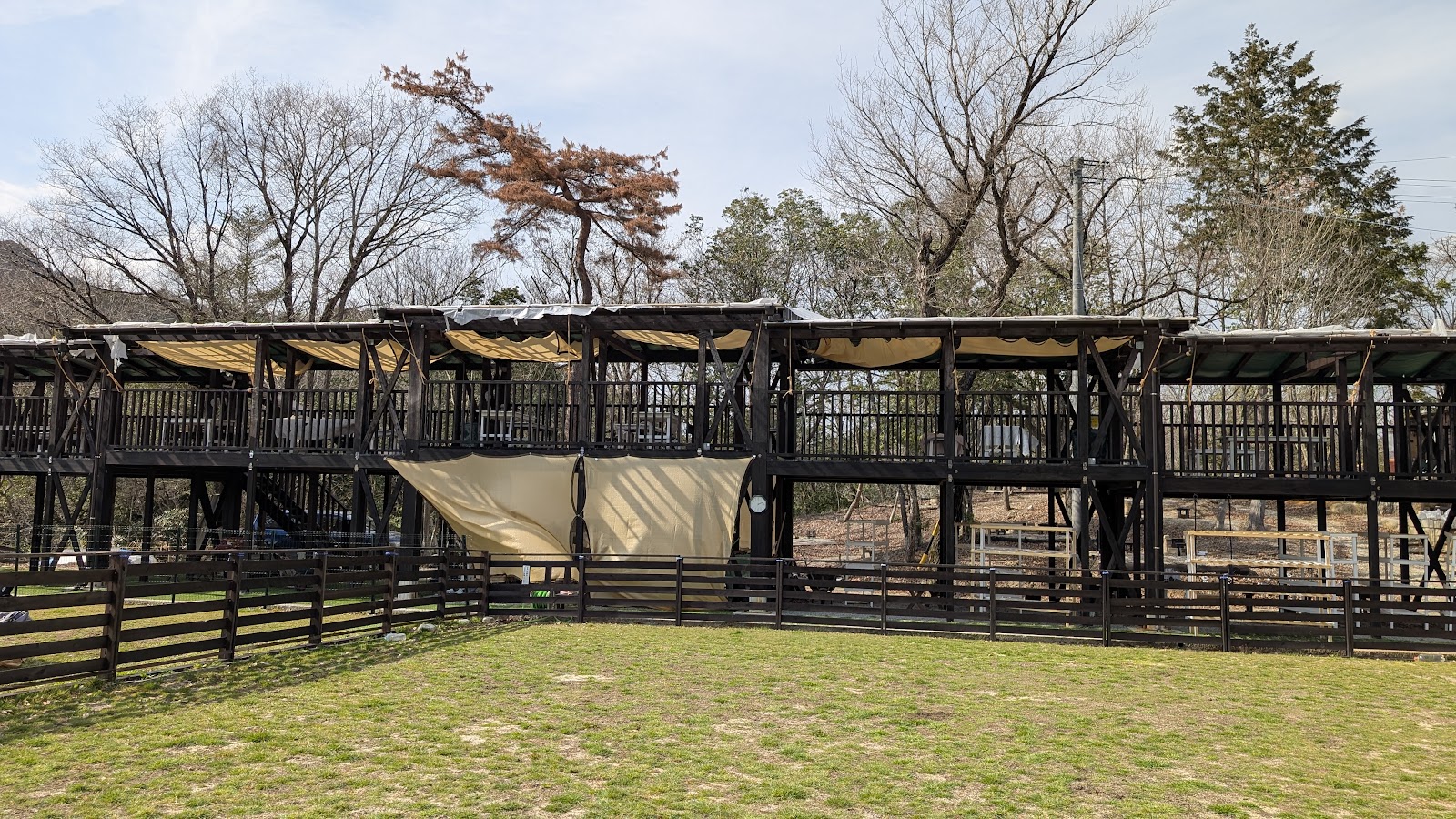 Cắm trại ・dogguran・bo Rừng