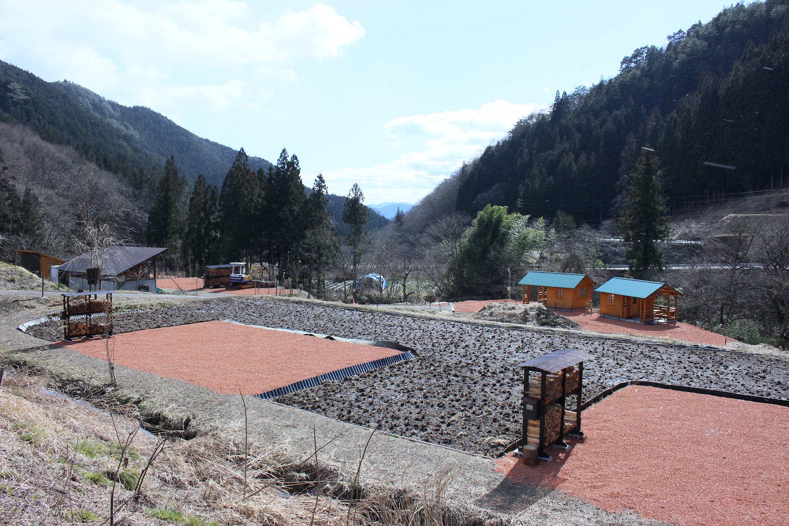 HOLY FUNGUS Hooriifangasu