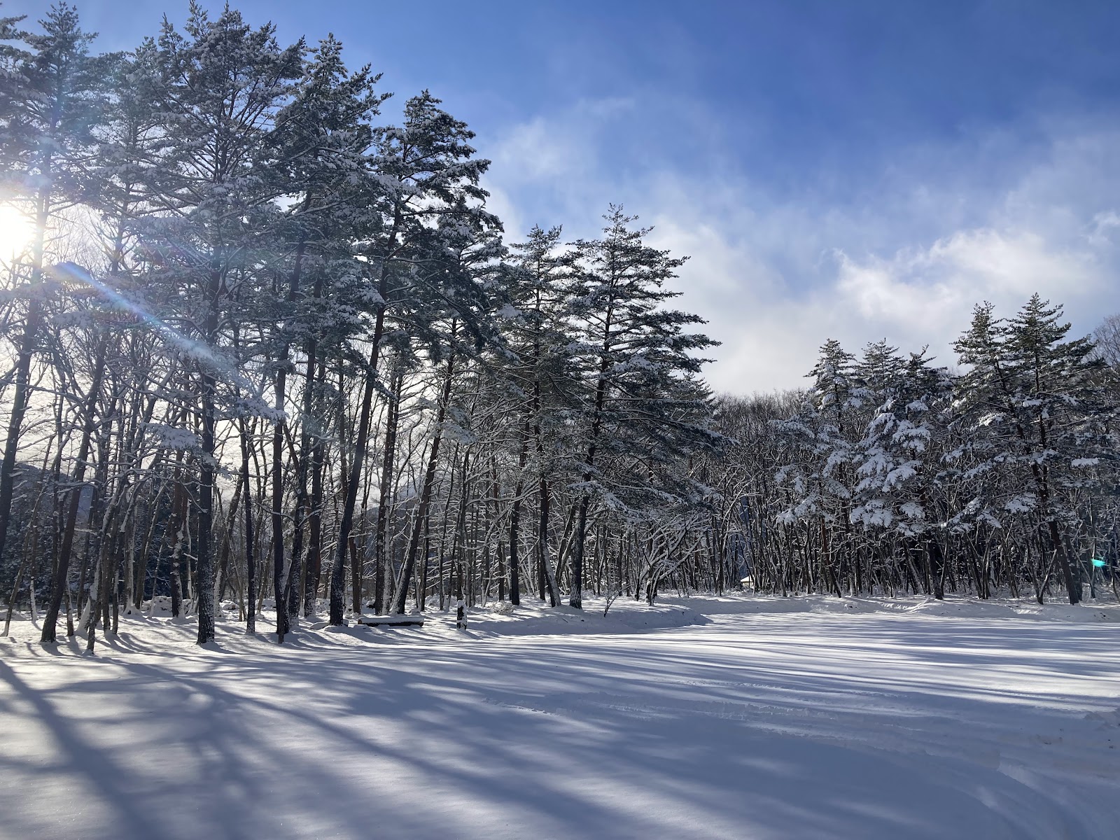 Ran Sân thượng Shinanooomachi