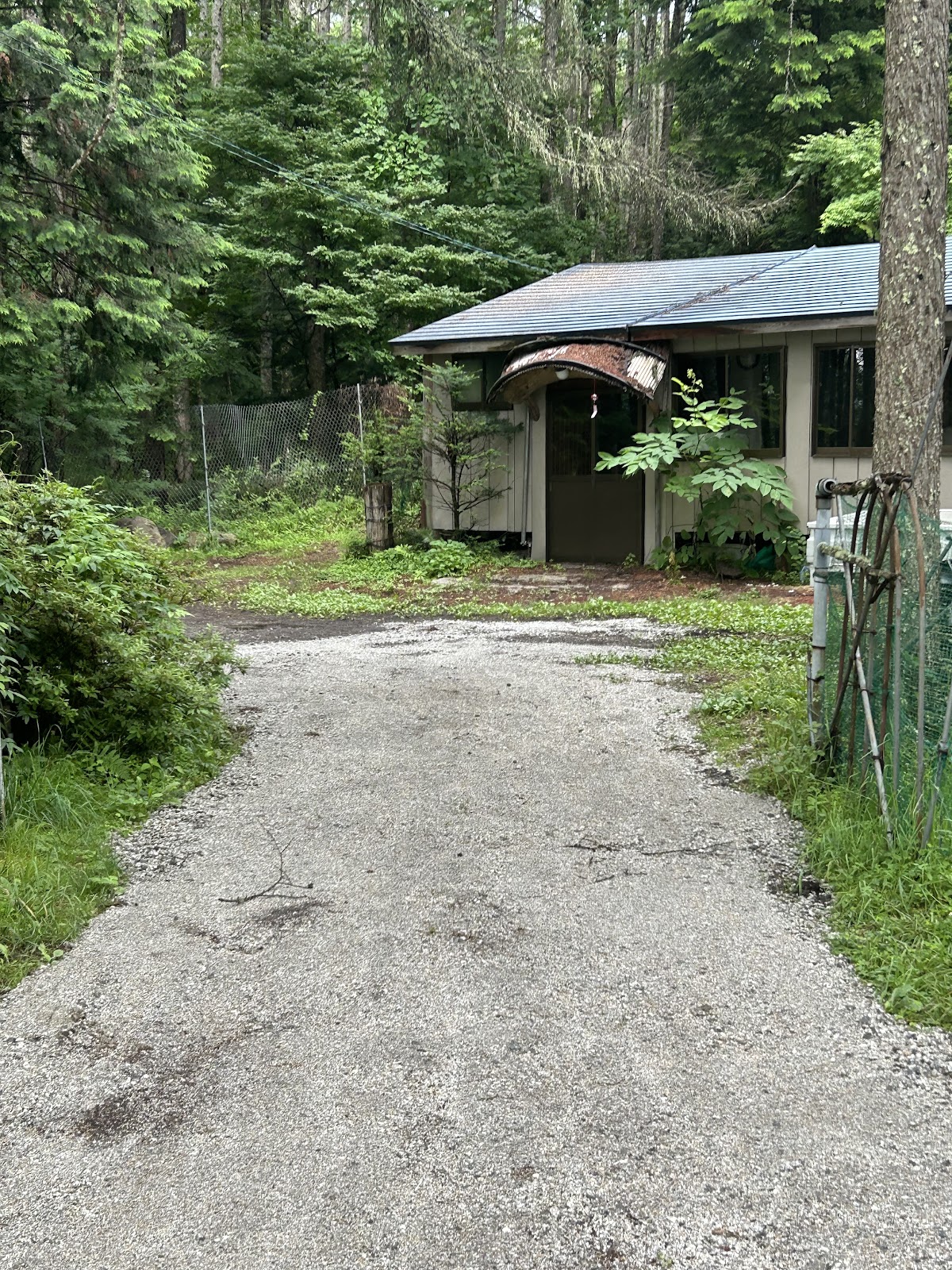 Larch Forest Village