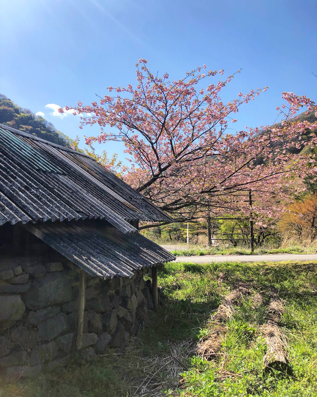 Kiji Entei Campground