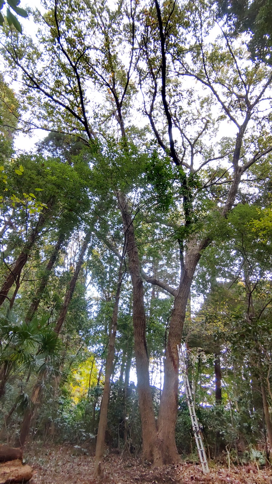 Khu cắm trại Shirai Riêng tư