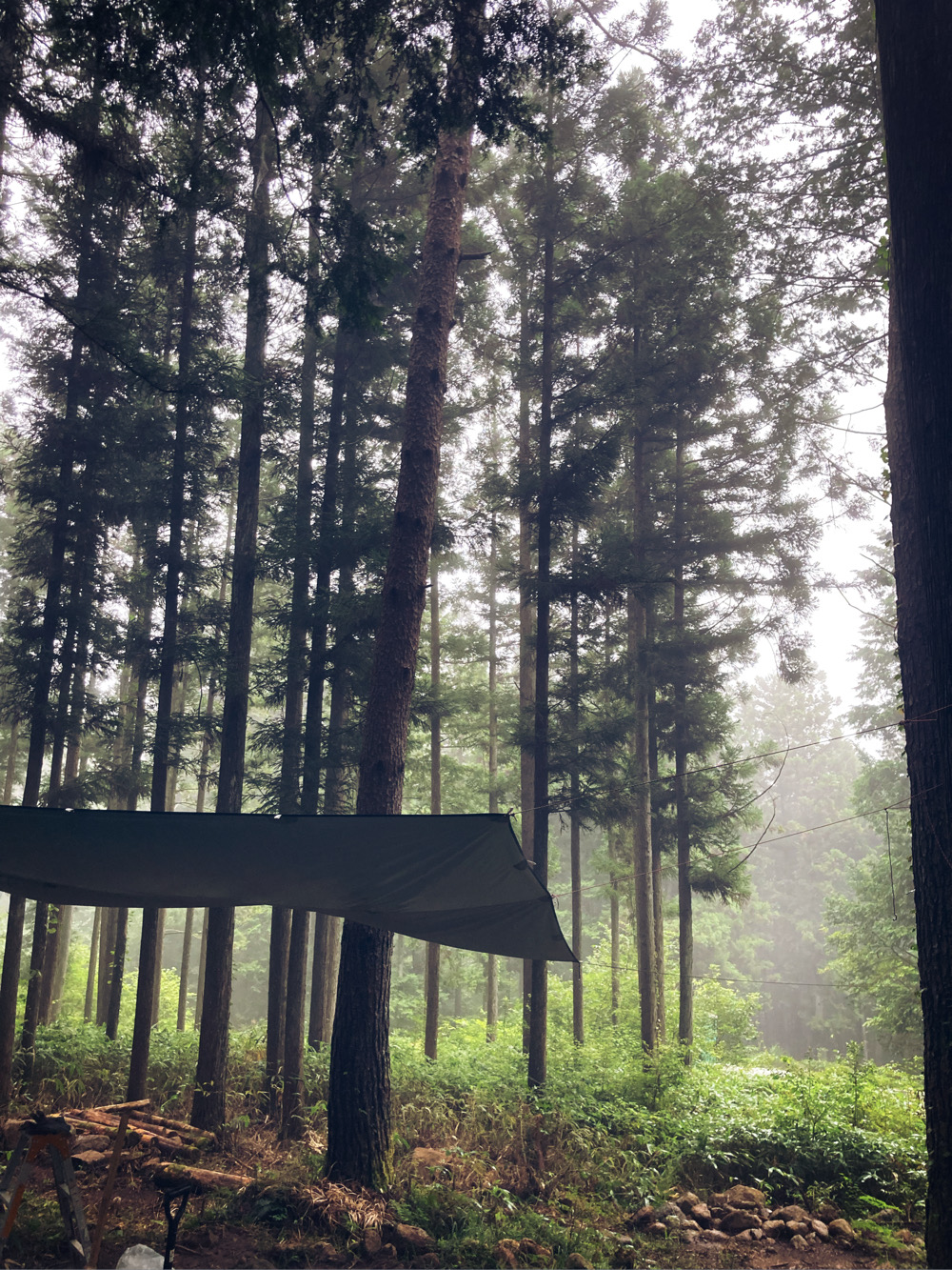 Higashishirakawa Nakatani Eirin Kyoukai