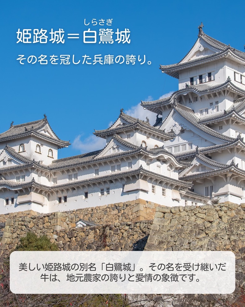 Tanba Hoshizora Glamping - SHIGURA RESORT