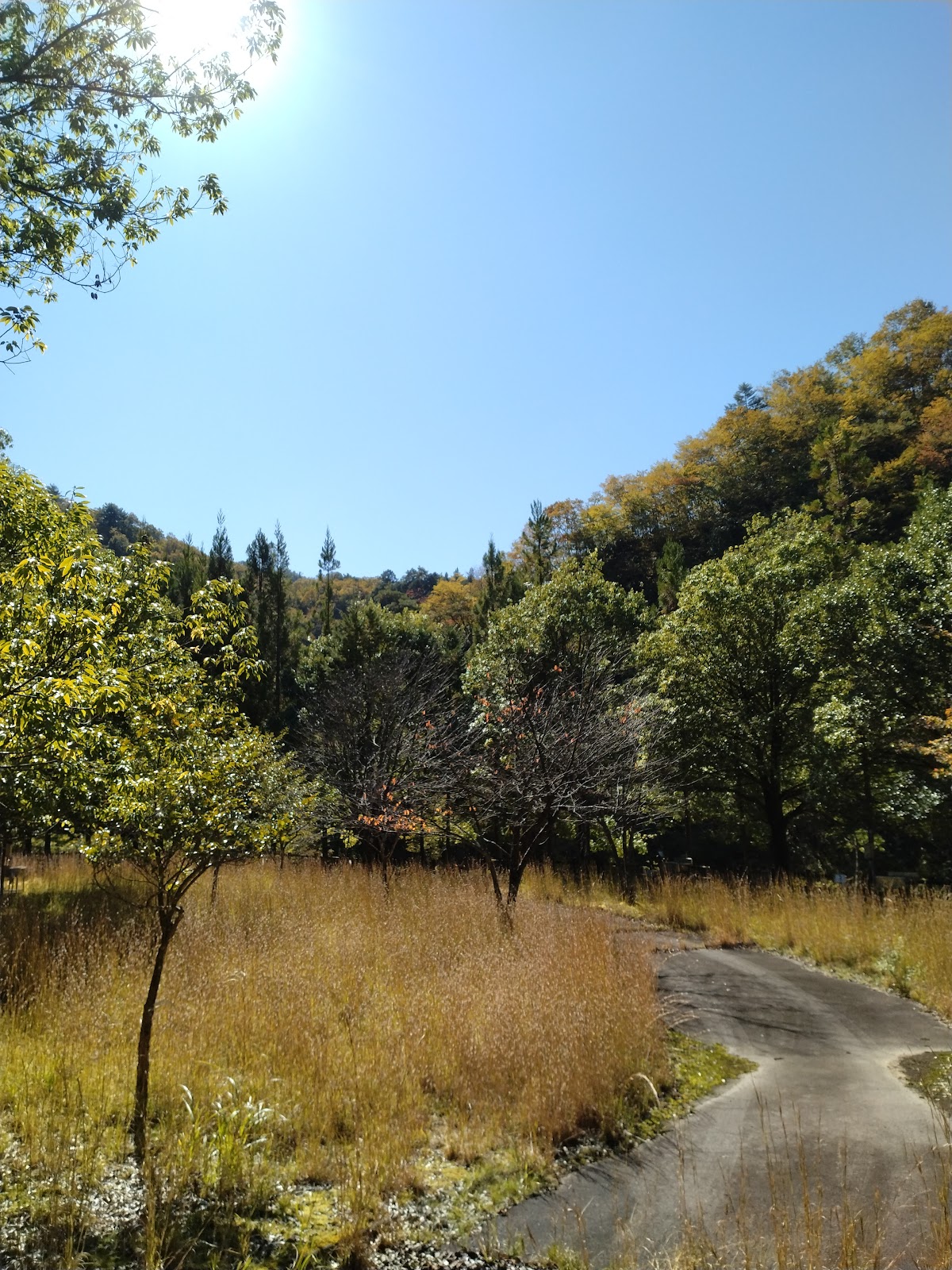 Hida Kanayama Forest Ou Hora Campground Ato