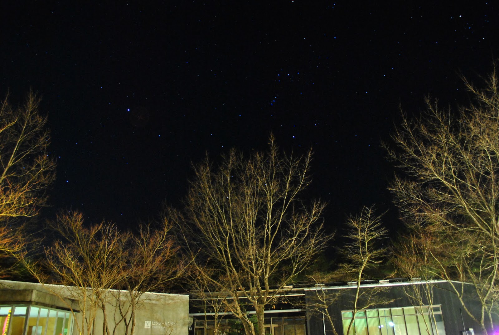 Fukushima Kenmin Forest Forest Park Adatara