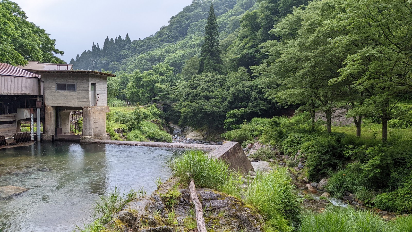 瀬波川キャンプ場