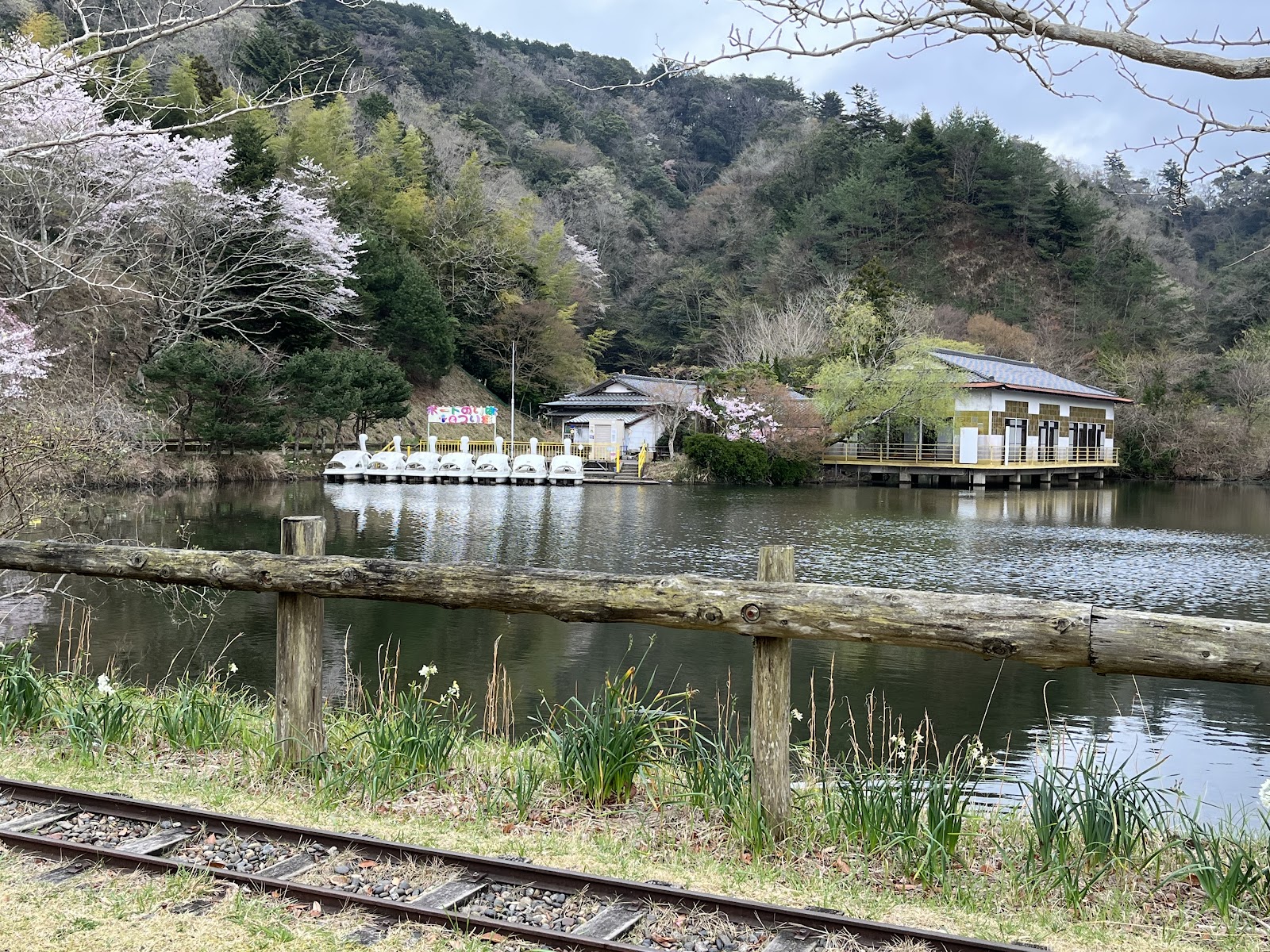 Roman Forest Kyouwakoku