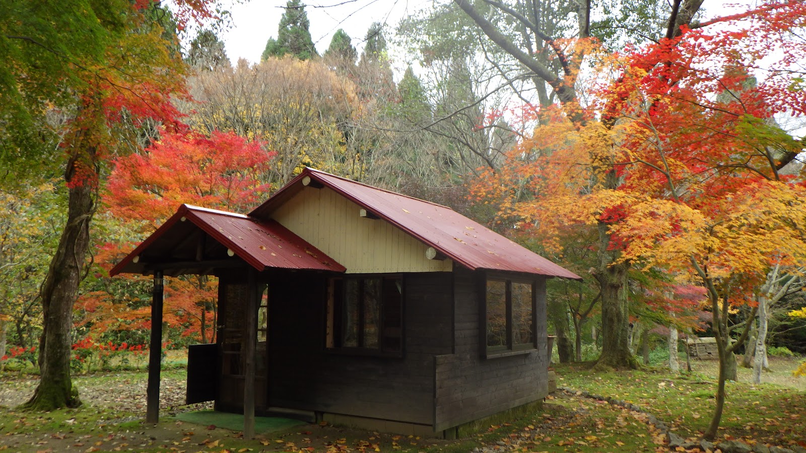 石動山テント村(4月18日より営業いたします)