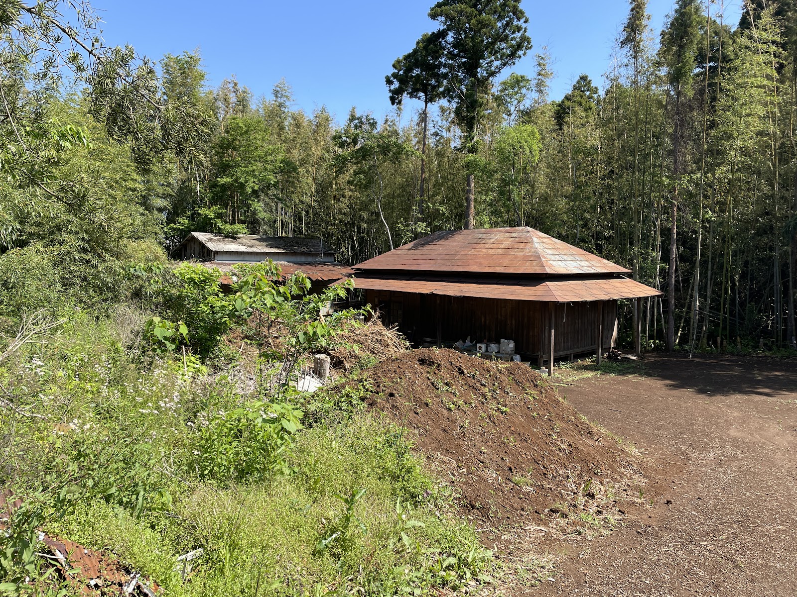 Booisukauto Inzai Dai１Dan Sukautohausu