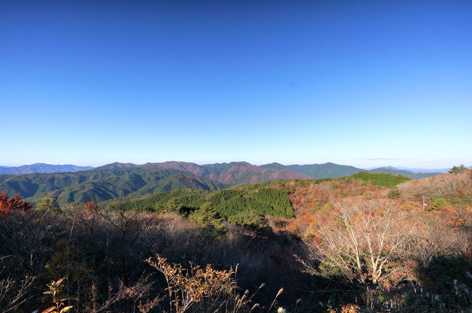 長野山緑地公園