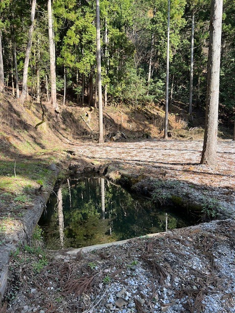 Khu cắm trại Shinryoku Rừng