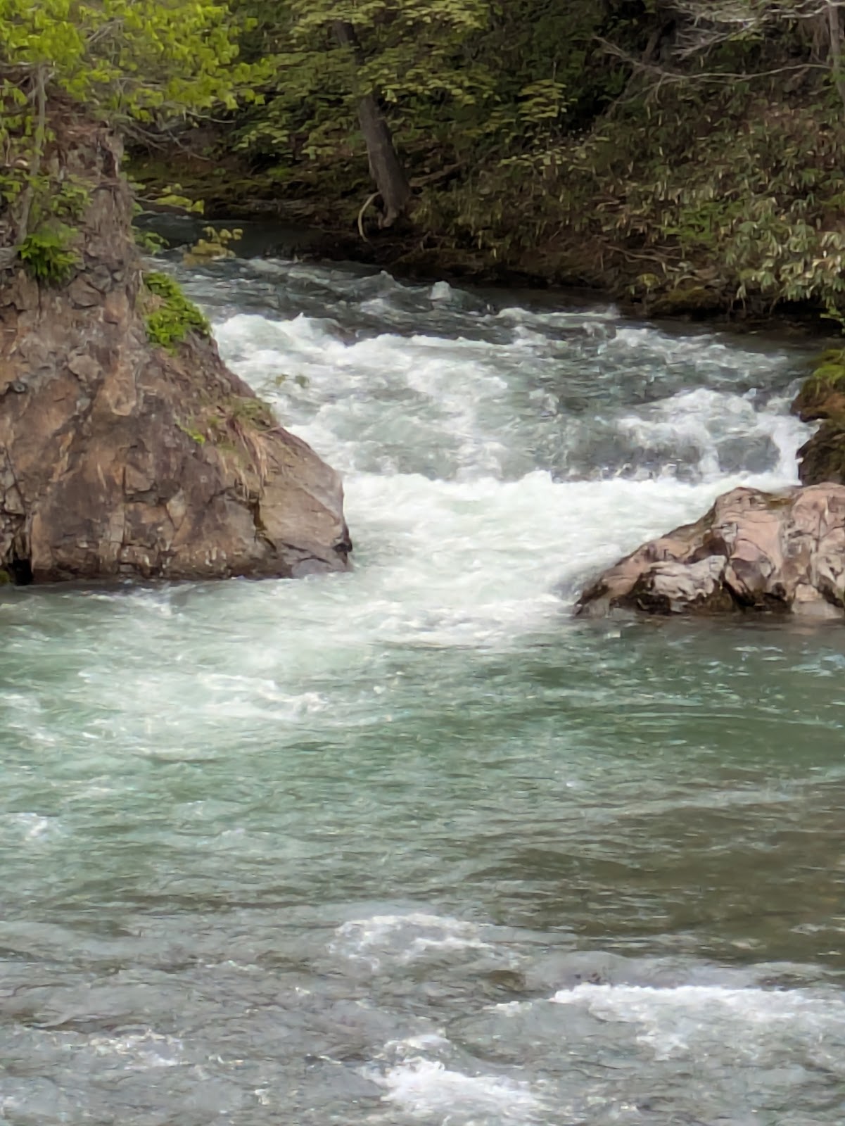 Rừng Geijutsu Ponpu Ba