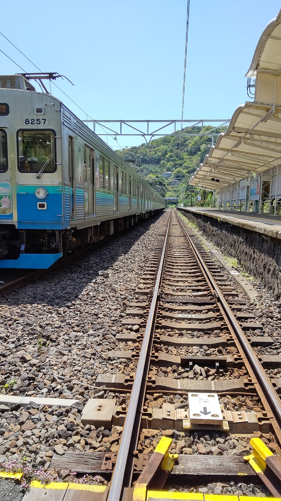 フリーサイトベース伊豆大川