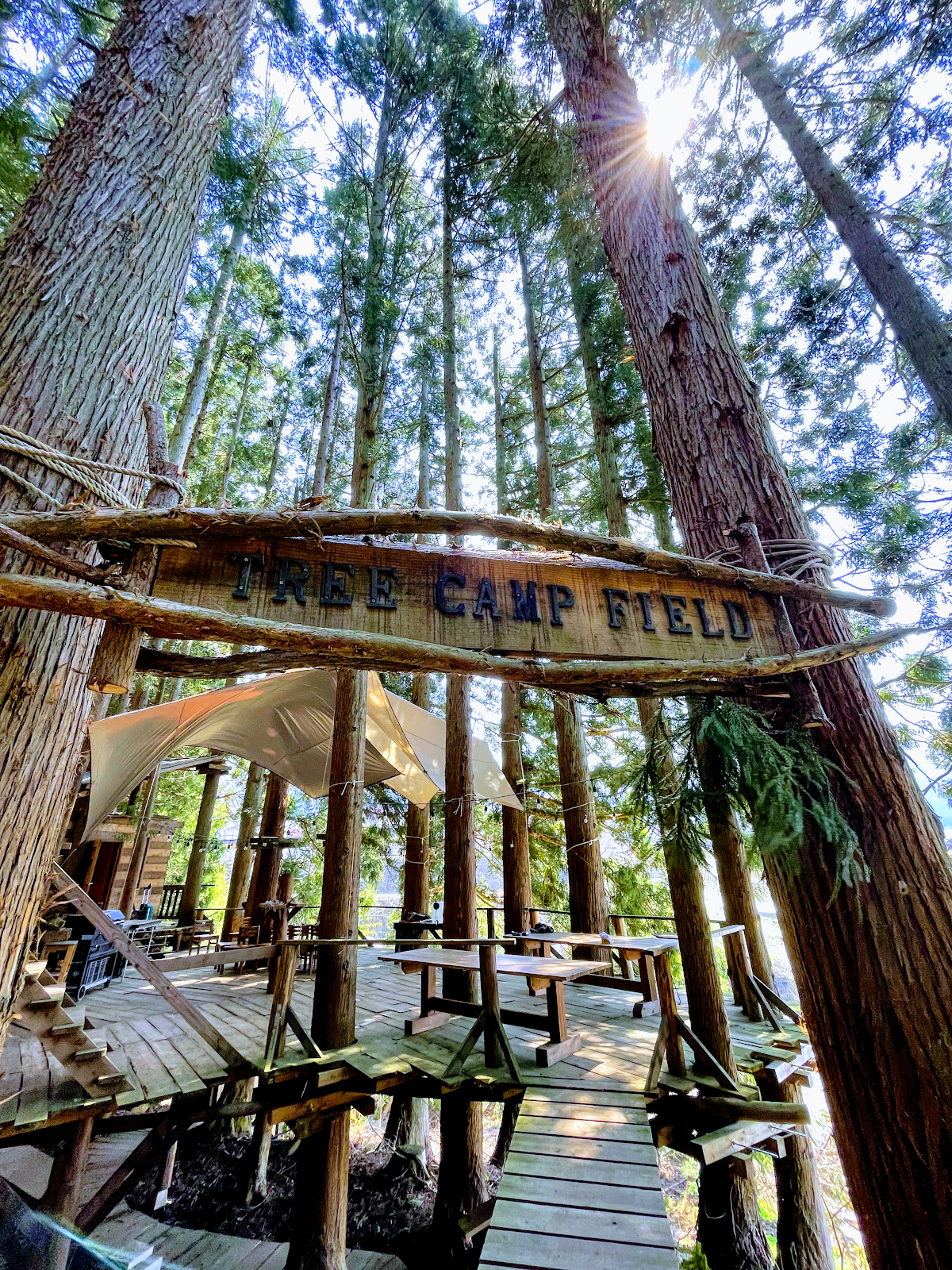 Nozawa Guriinfiirudo