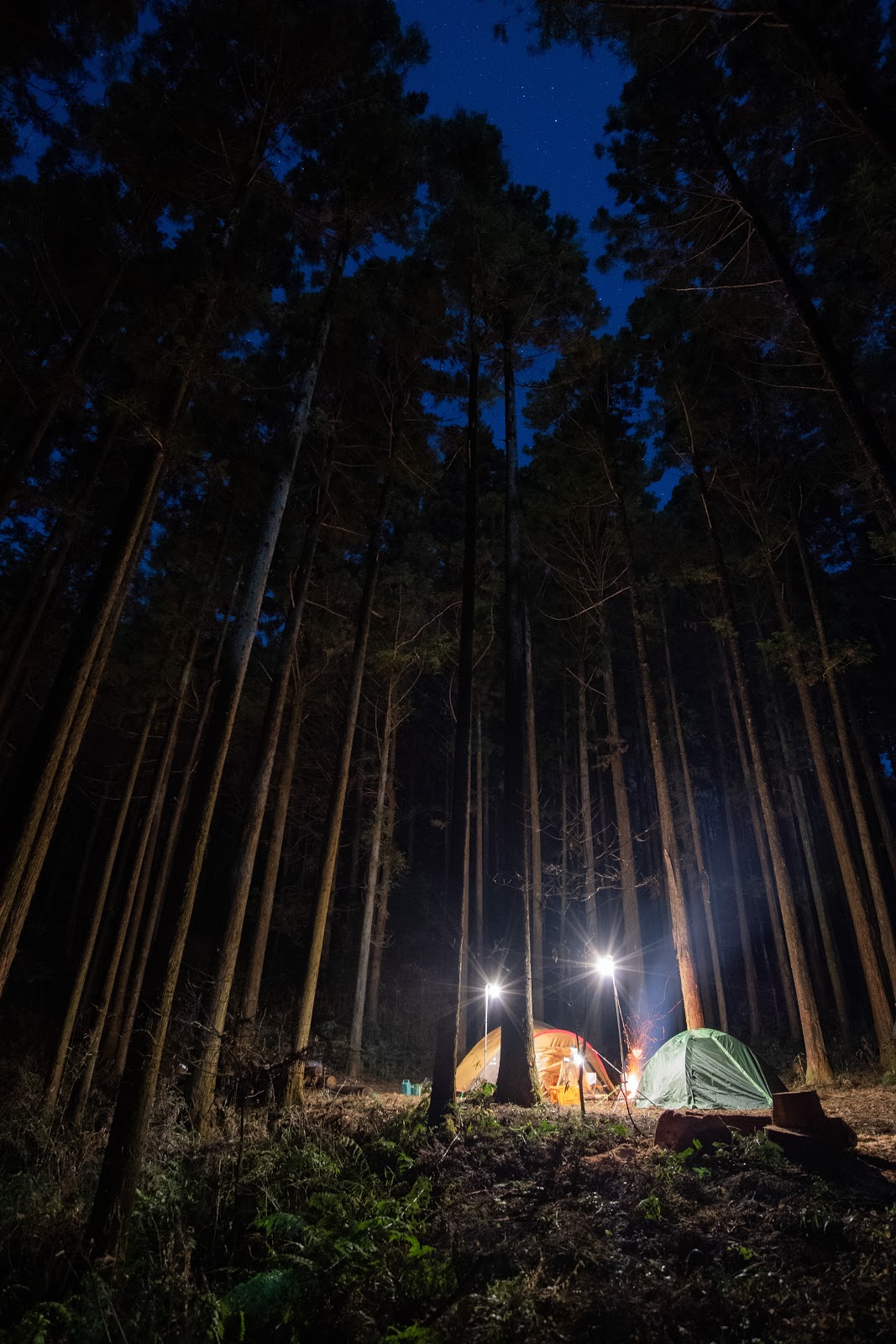 Khu cắm trại Rừng Công viên Oira Rừng Mori No Nakano