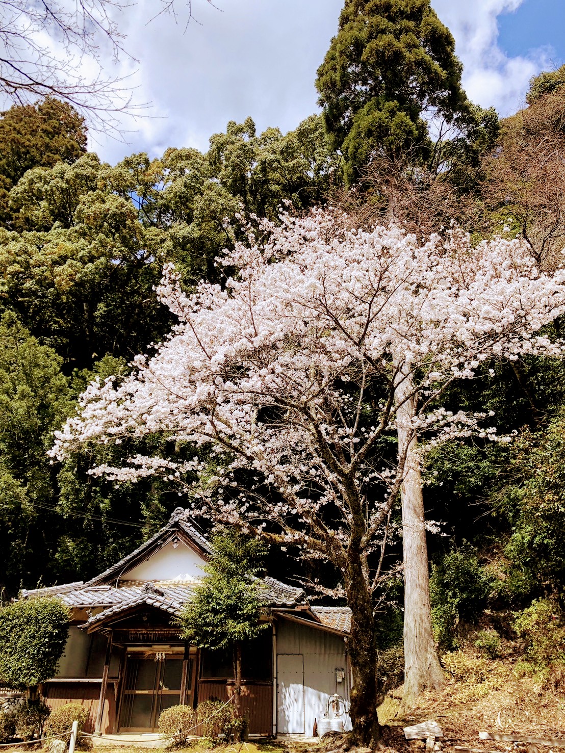 みさとキャンプ場