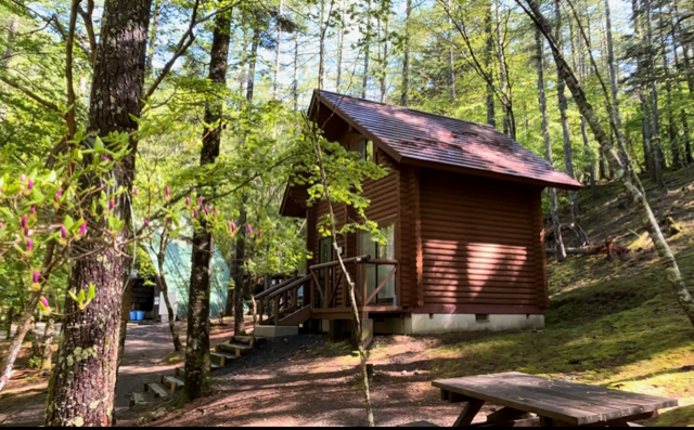 Ikawa Shinrinkumiai Shizuokaken Kenmin Forest