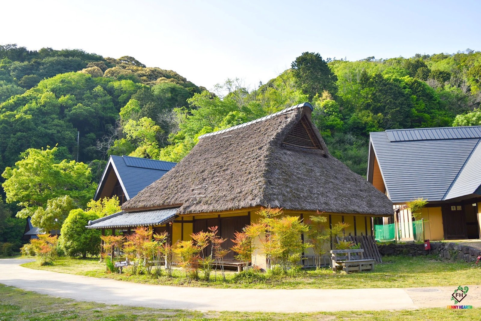 Ki Izumi Waiwai Mura FUNNY HEARTH