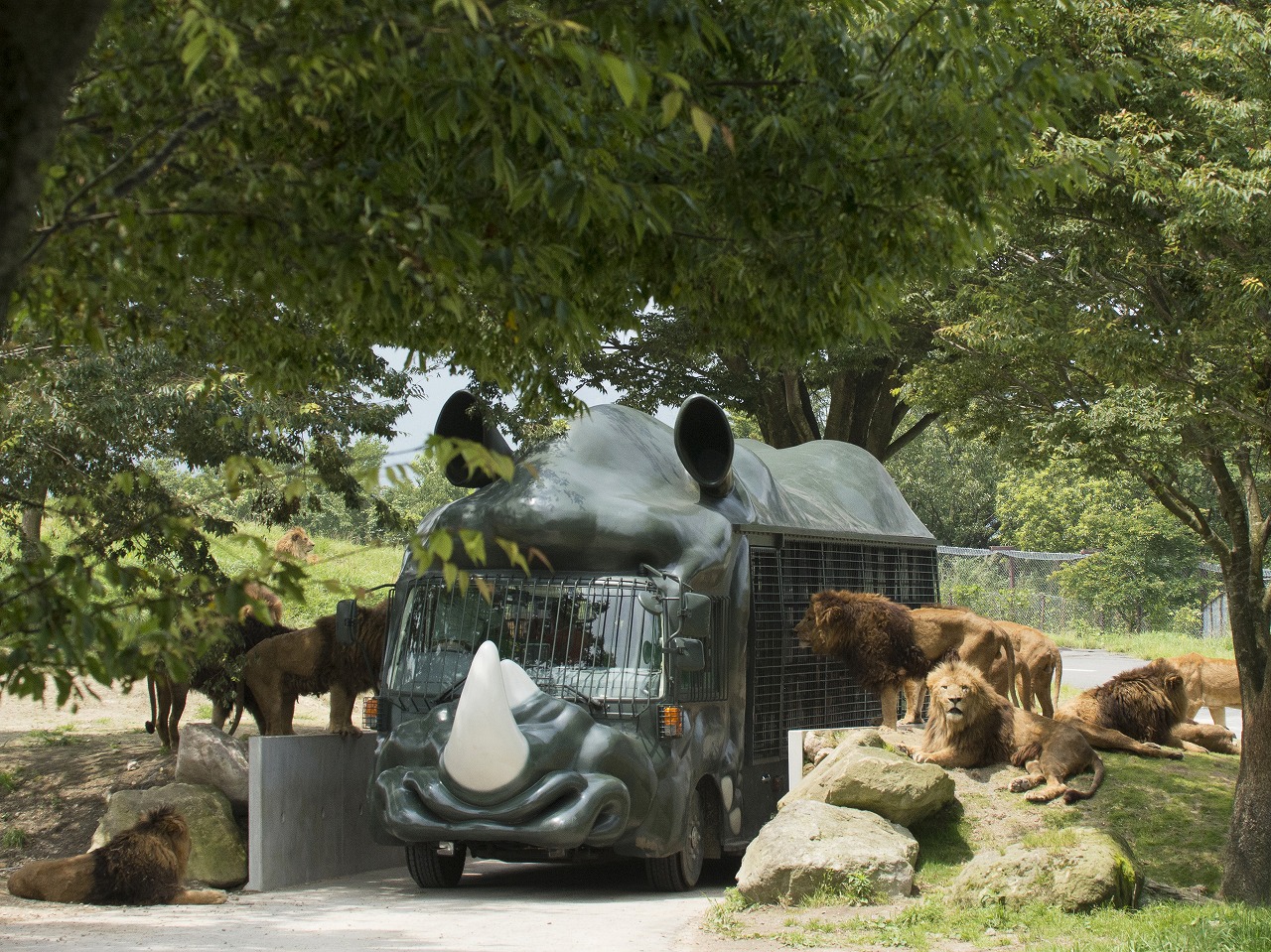 Công viên động vật Kyushu Thiên nhiên African Safari