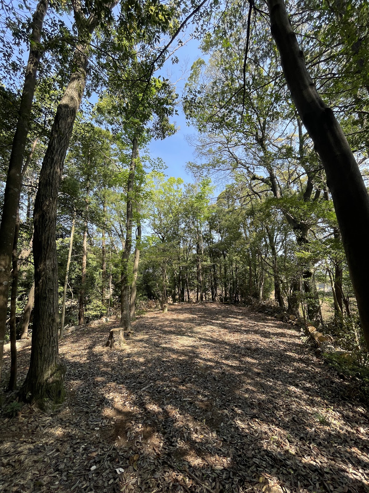 Cắm trại Booisukauto Kashiwa Dai10Dan Khu vực