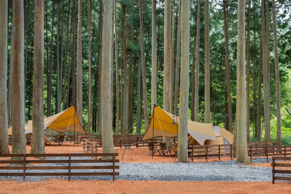 Cắm trại Sumeragi Rừng Kukaku Khu vực Michi No Eki ‎Yume Sansan Tanigumi