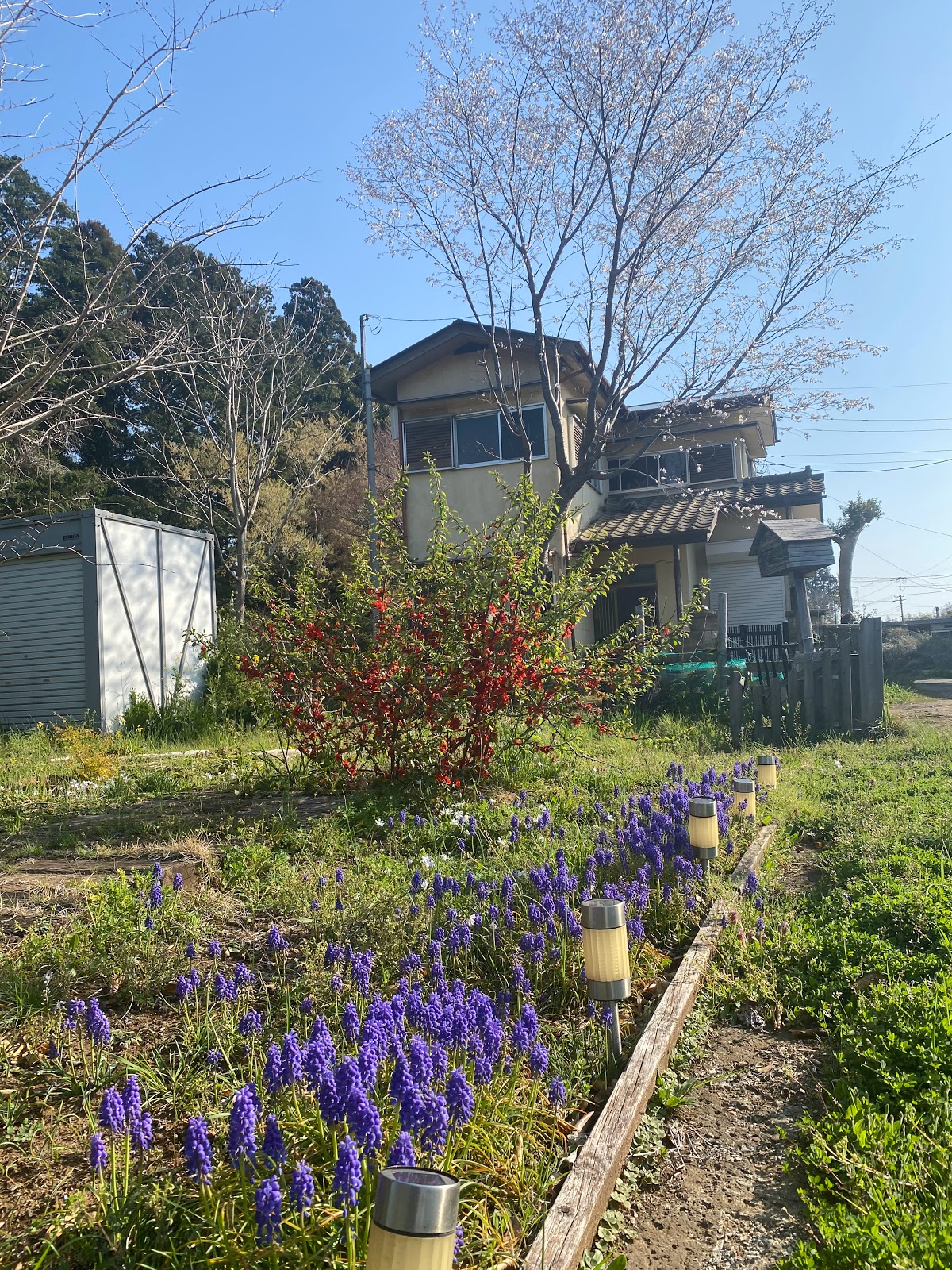 Tomisato Tsuriihausu