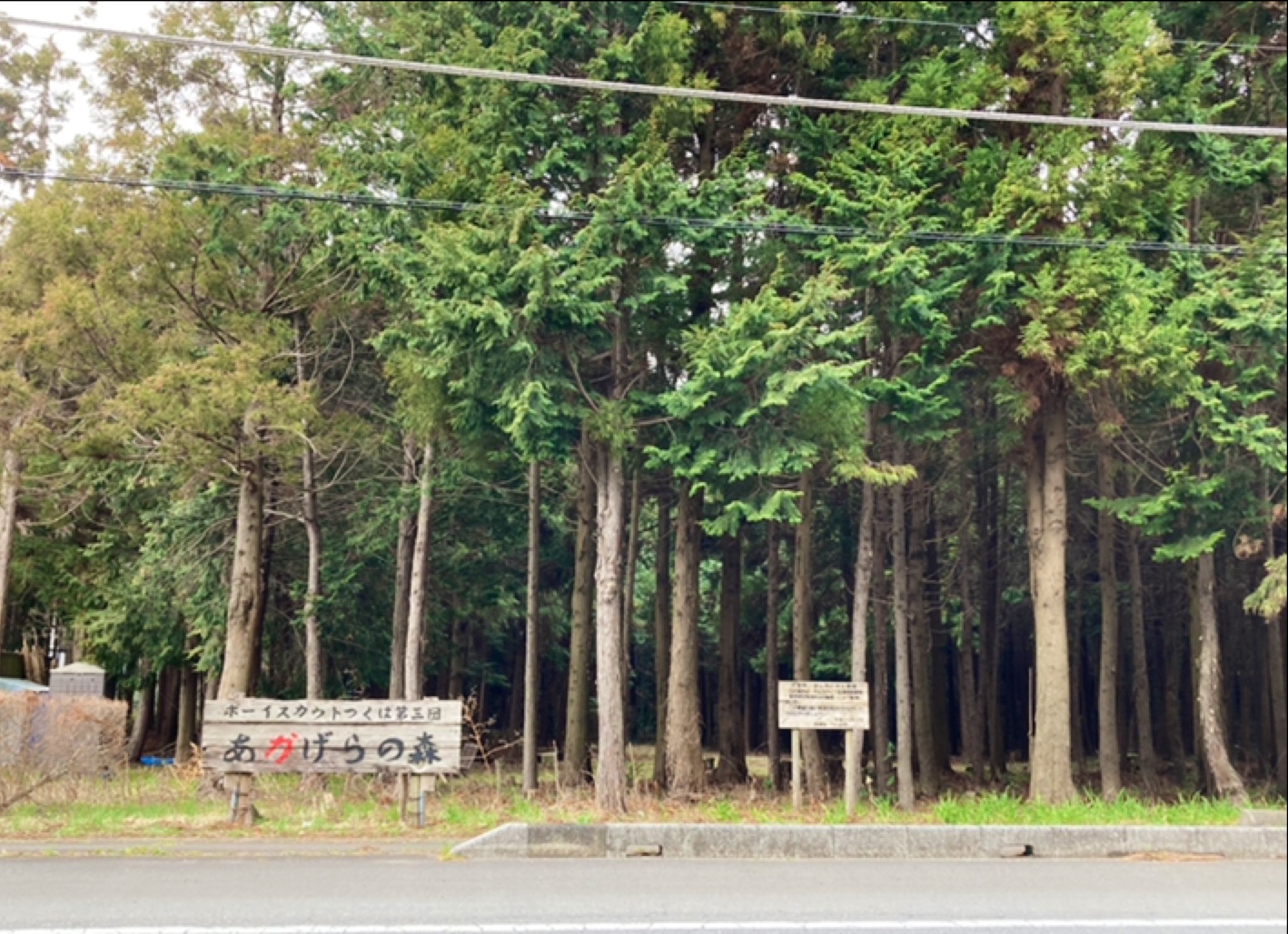 Rừng Booisukauto Tsukuba Dai3Dan Katsudou Chi「Akagera 」
