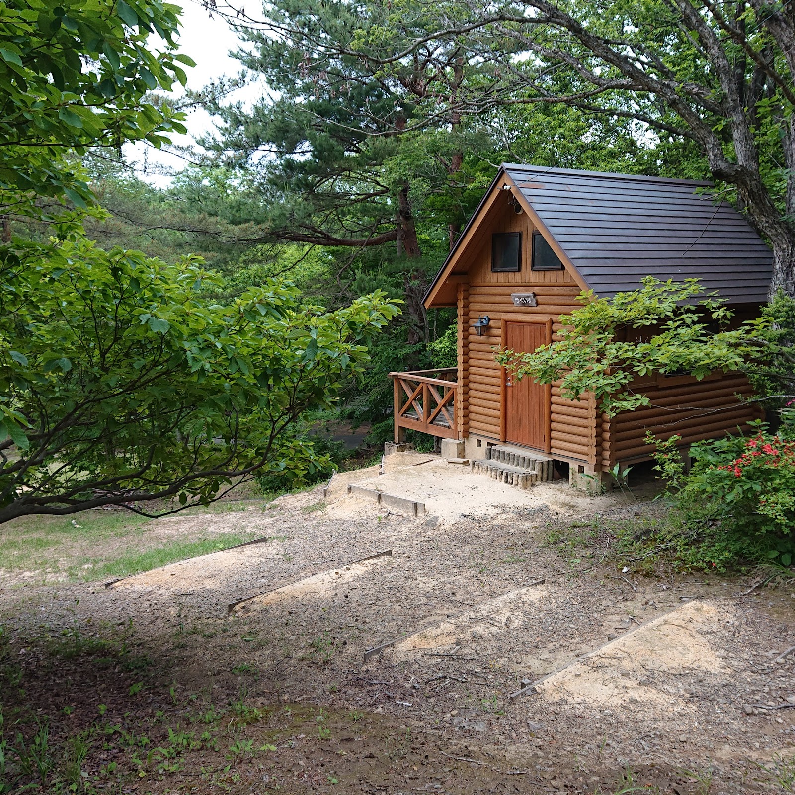 Khu cắm trại Hachi Tsu Sugi Sennen Rừng