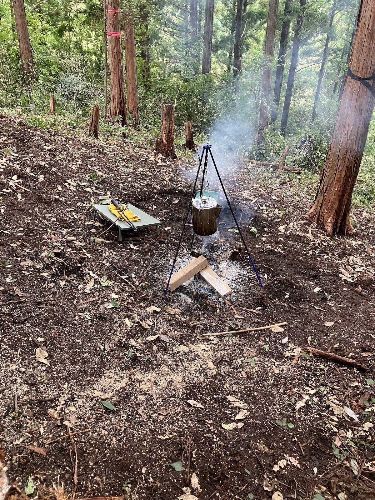 Rừng Atsumare Shimanto