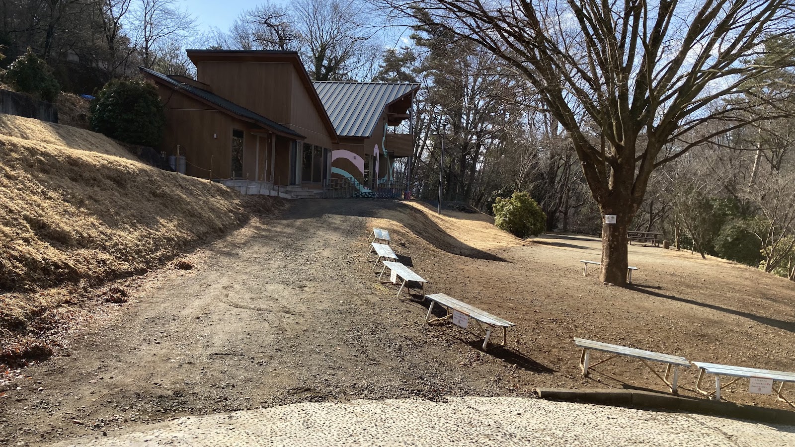 Rừng Sousaku Obina