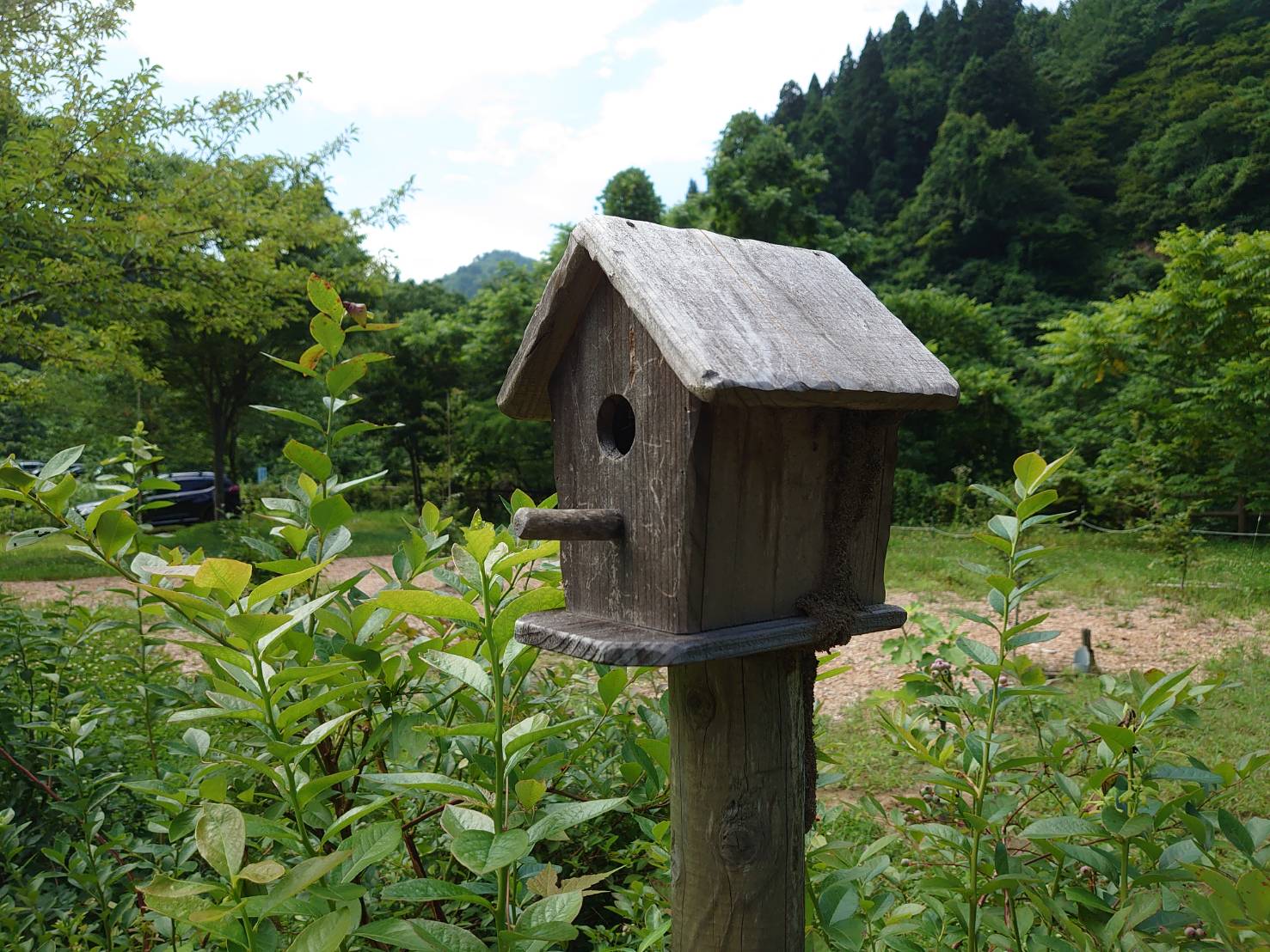 Booisukauto Nagaoka Dai1Dan Kaze - Tani No Campground