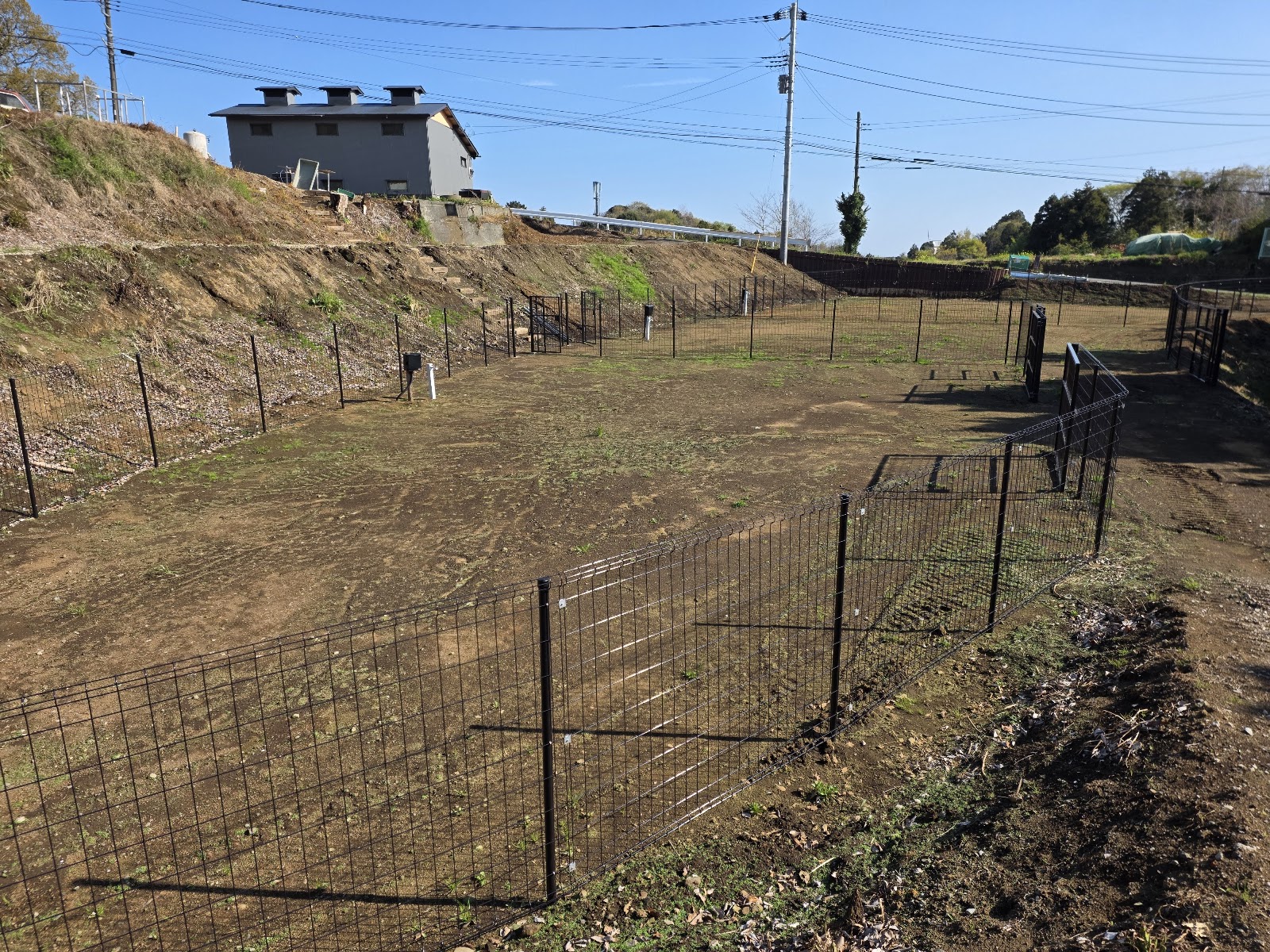 Famiriedoggufurii Khu vực