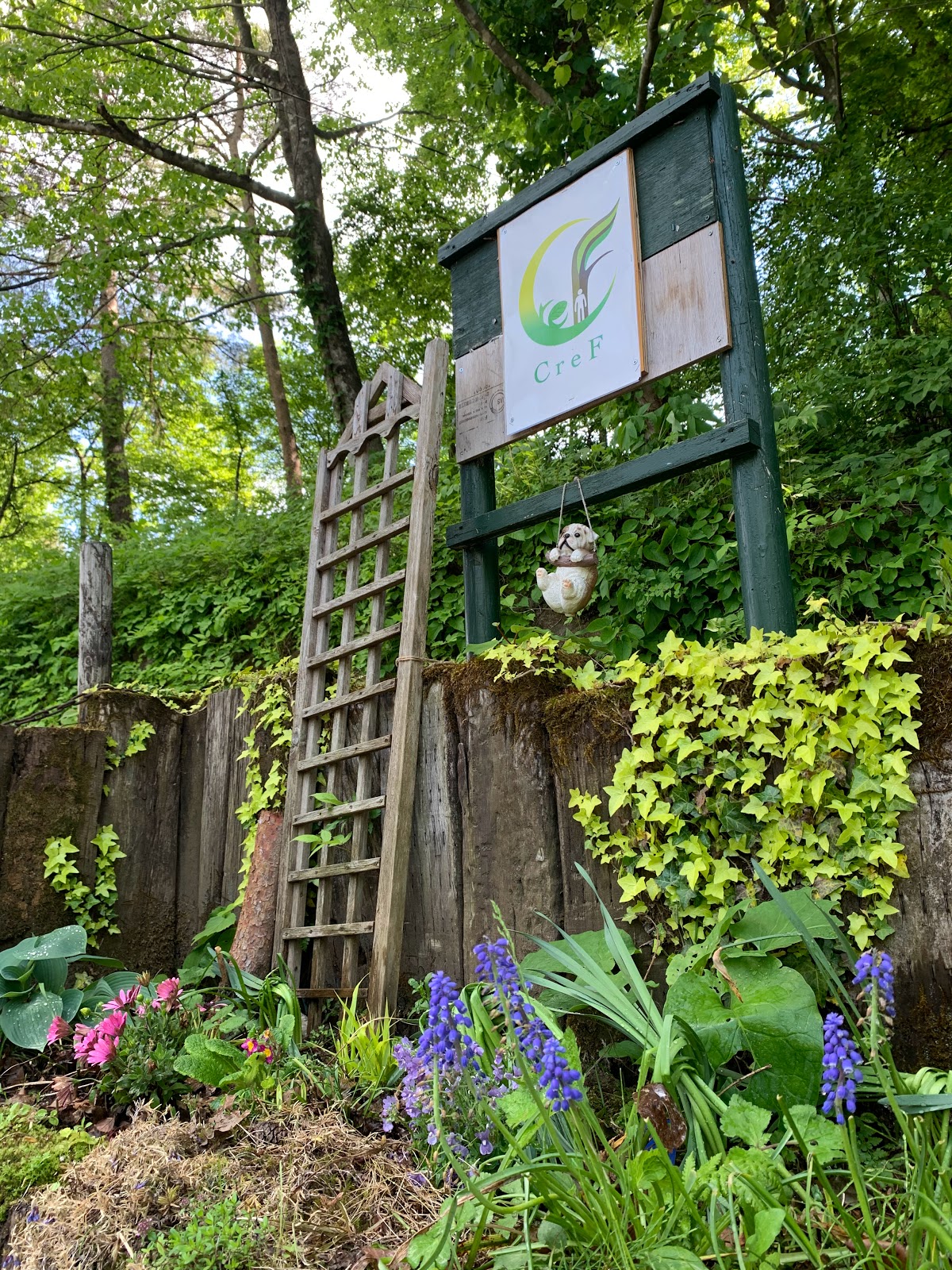 Kurifu Camping Site CreF