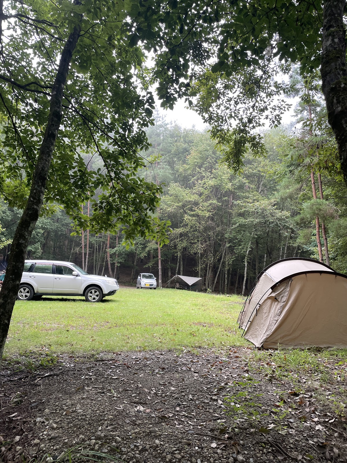 Khu cắm trại Sakeishi Rừng