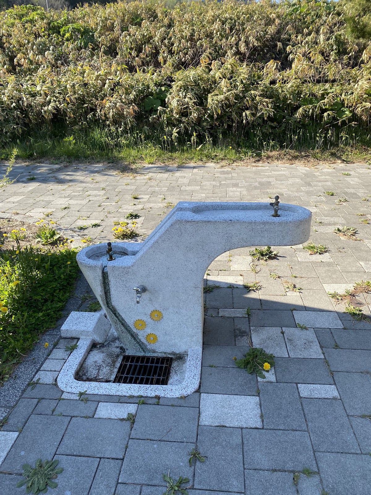 Oogishi Shiisaido Campground