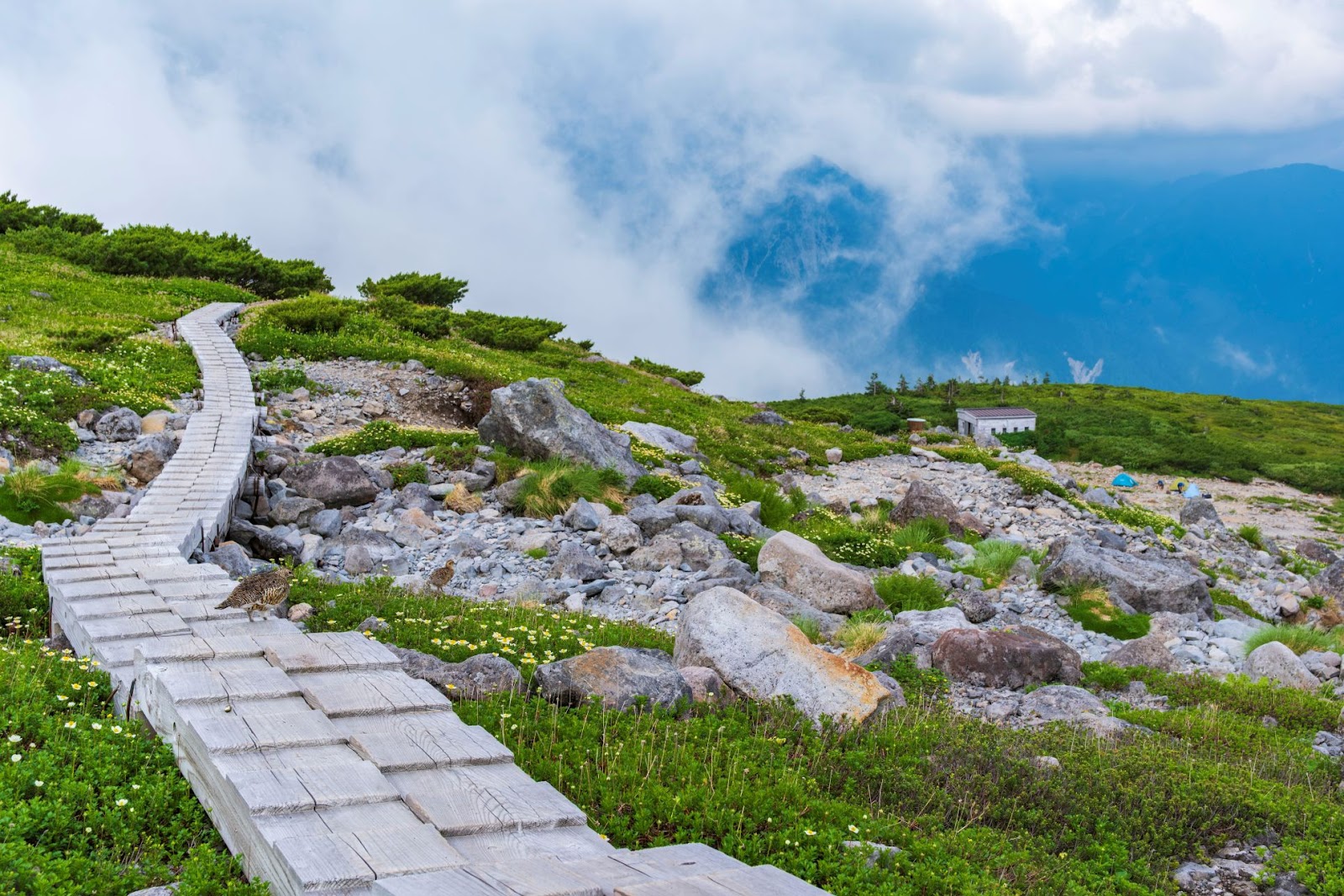 Khu cắm trại Goshiki Ke Hara