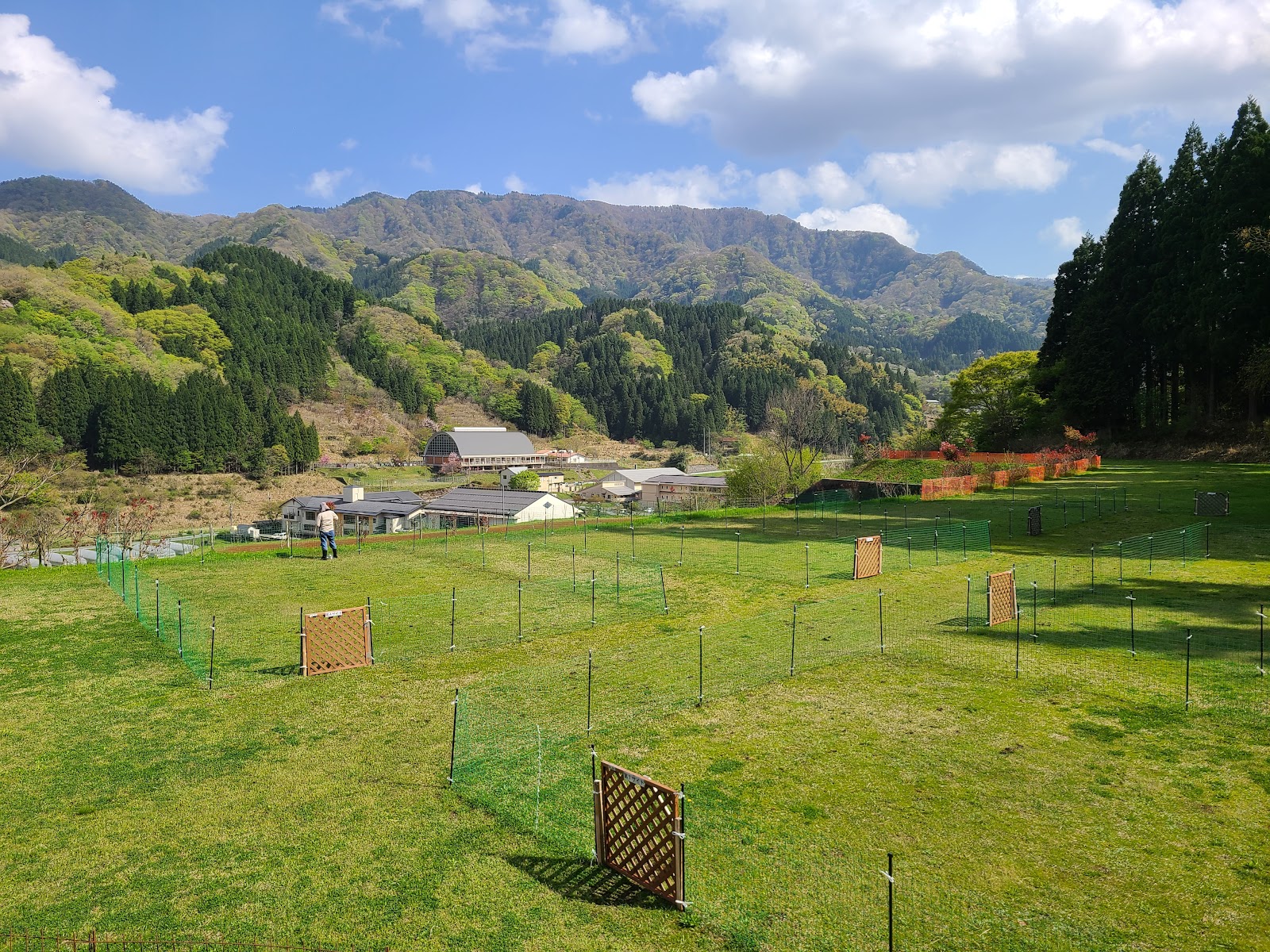 Khu cắm trại Kaze Wo Kanji Ru Chuu Rừng