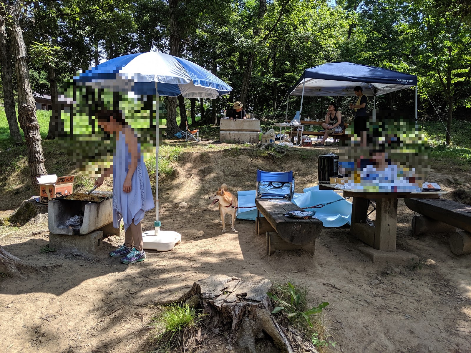 北信濃ふるさとの森文化公園 デイキャンプ場