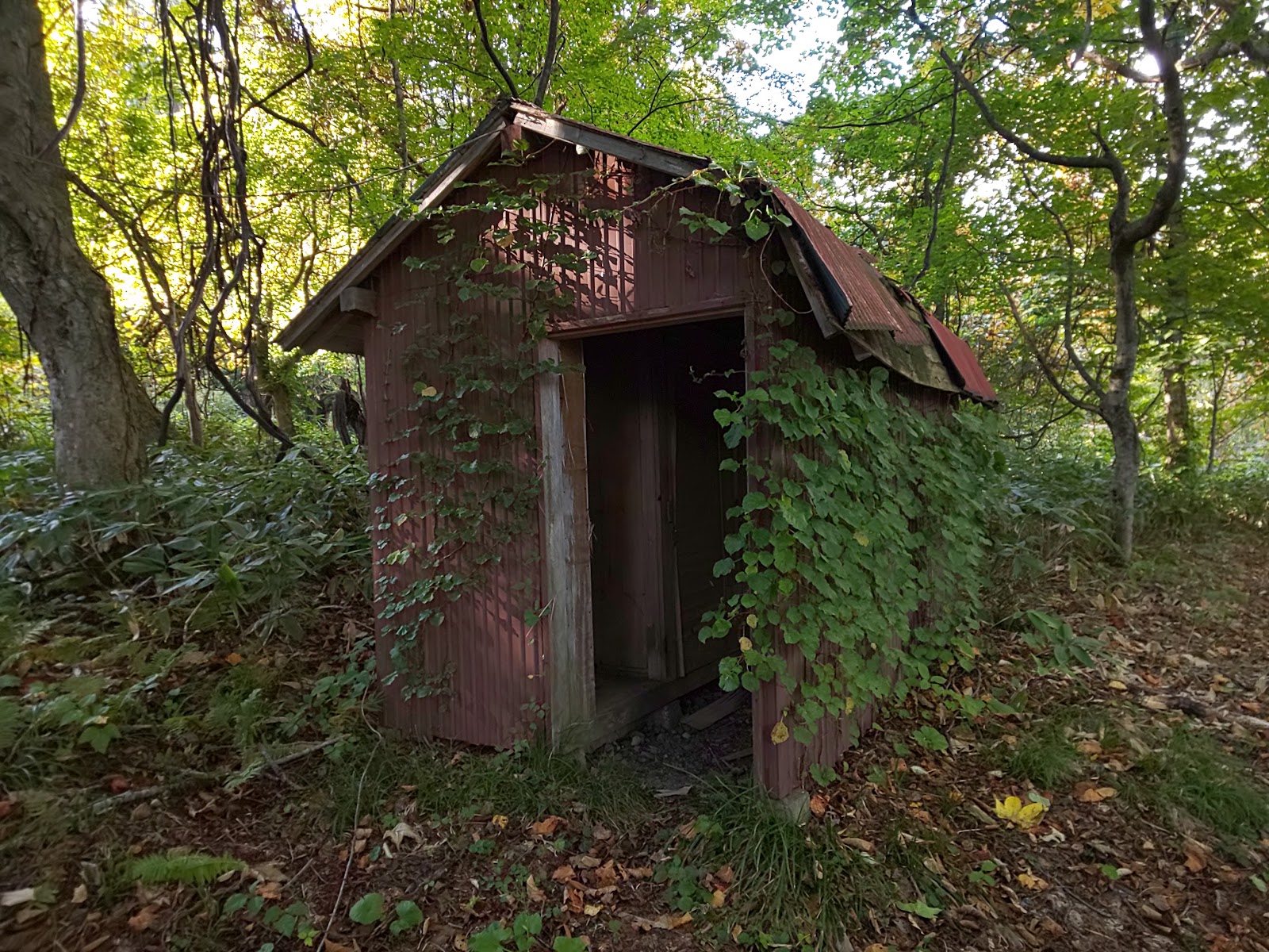 Taki No Sawano Ei Ba