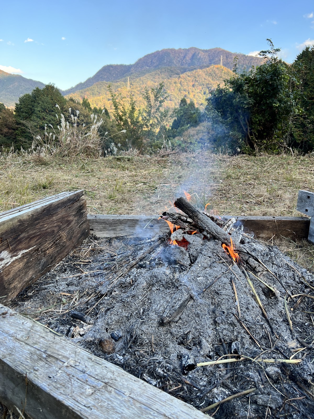 Rừng Koujin Yaei Chi