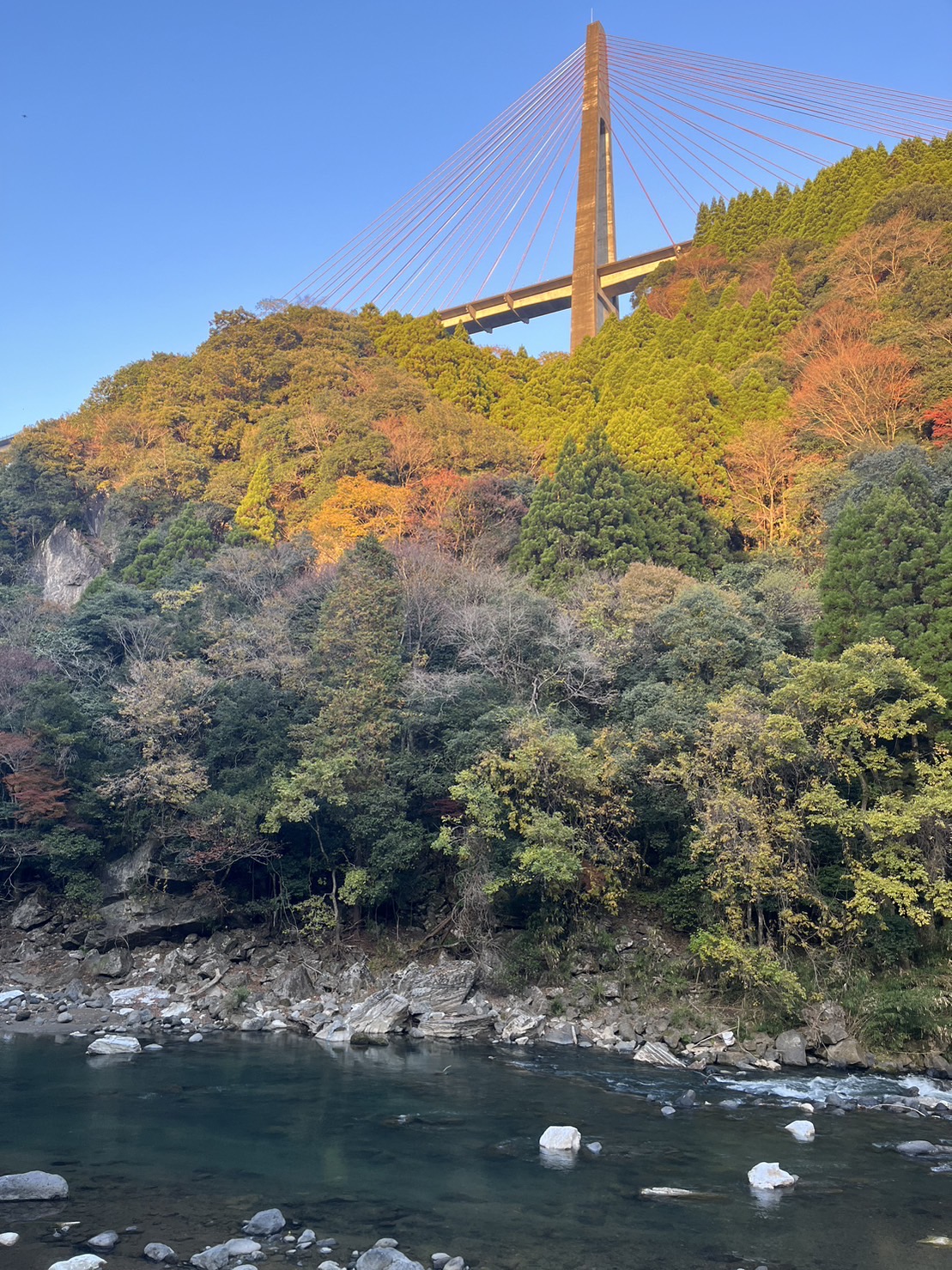 猿ヶ城キャンプ村