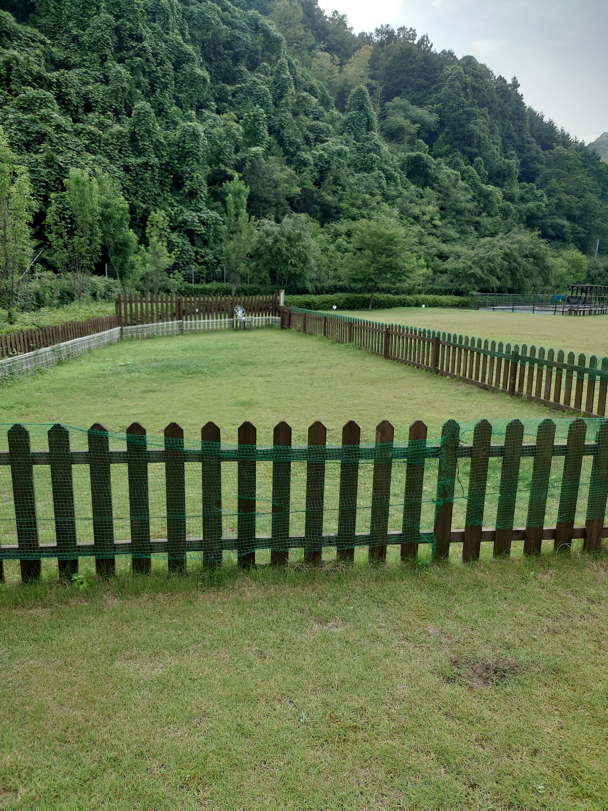 Raijingufiirudo Yanbe