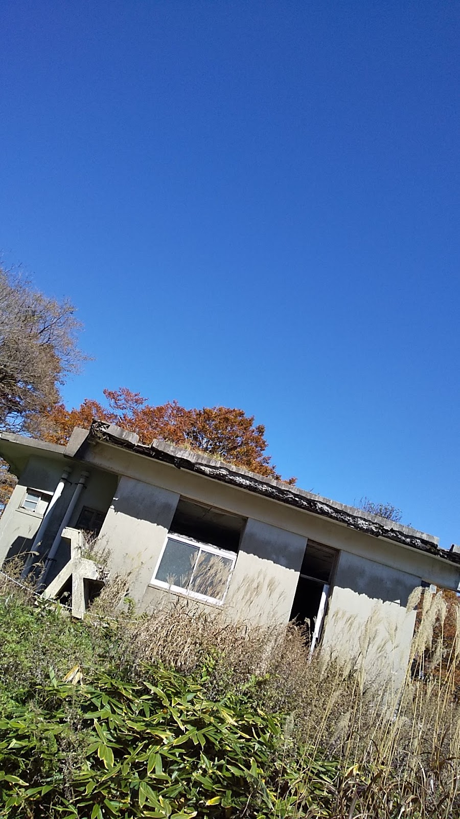 竜王山キャンプ場