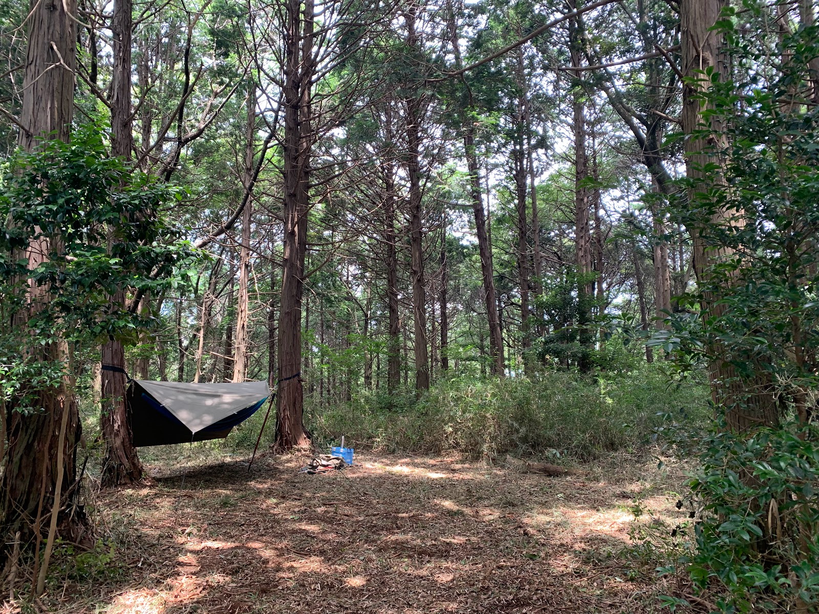 Easy Land Base Busshukurafutoeria