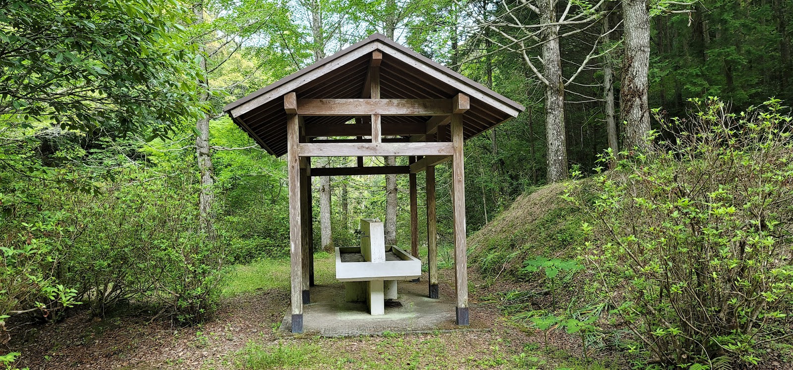 Seiyo Shi Katsuragawa Keikoku Campground