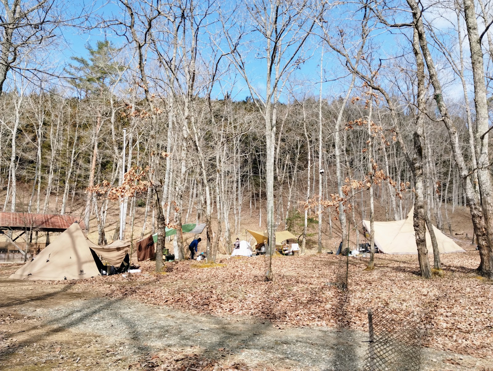 Rokuroshi Forest Campground