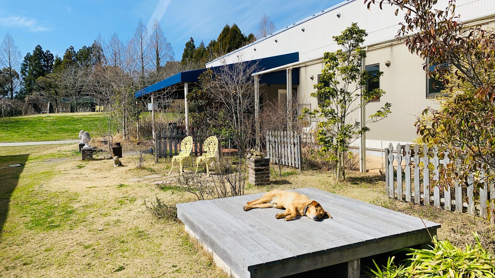 Khu cắm trại Rapyuta Nông trại