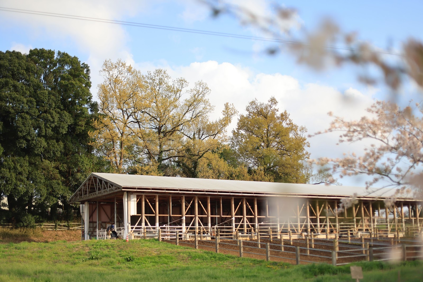 Chiba Ushinohiroba ｜ Ushi Ga Kura Su Campground